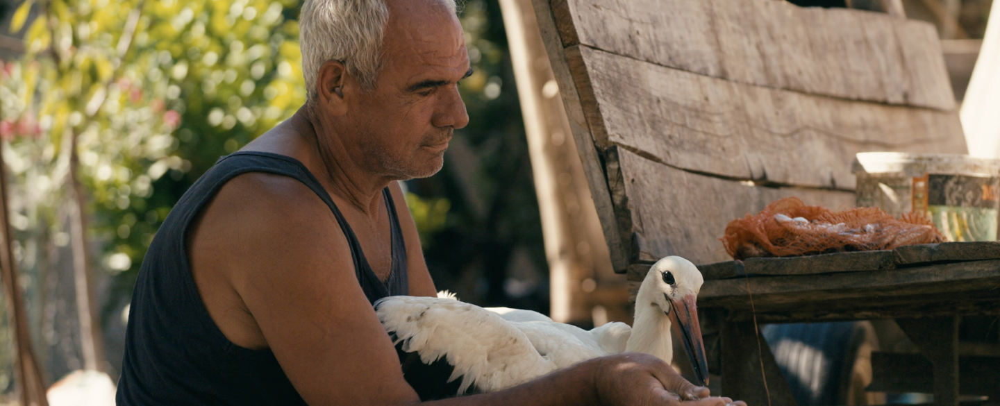 The Tale Of Silyan Film Melbourne International Film Festival