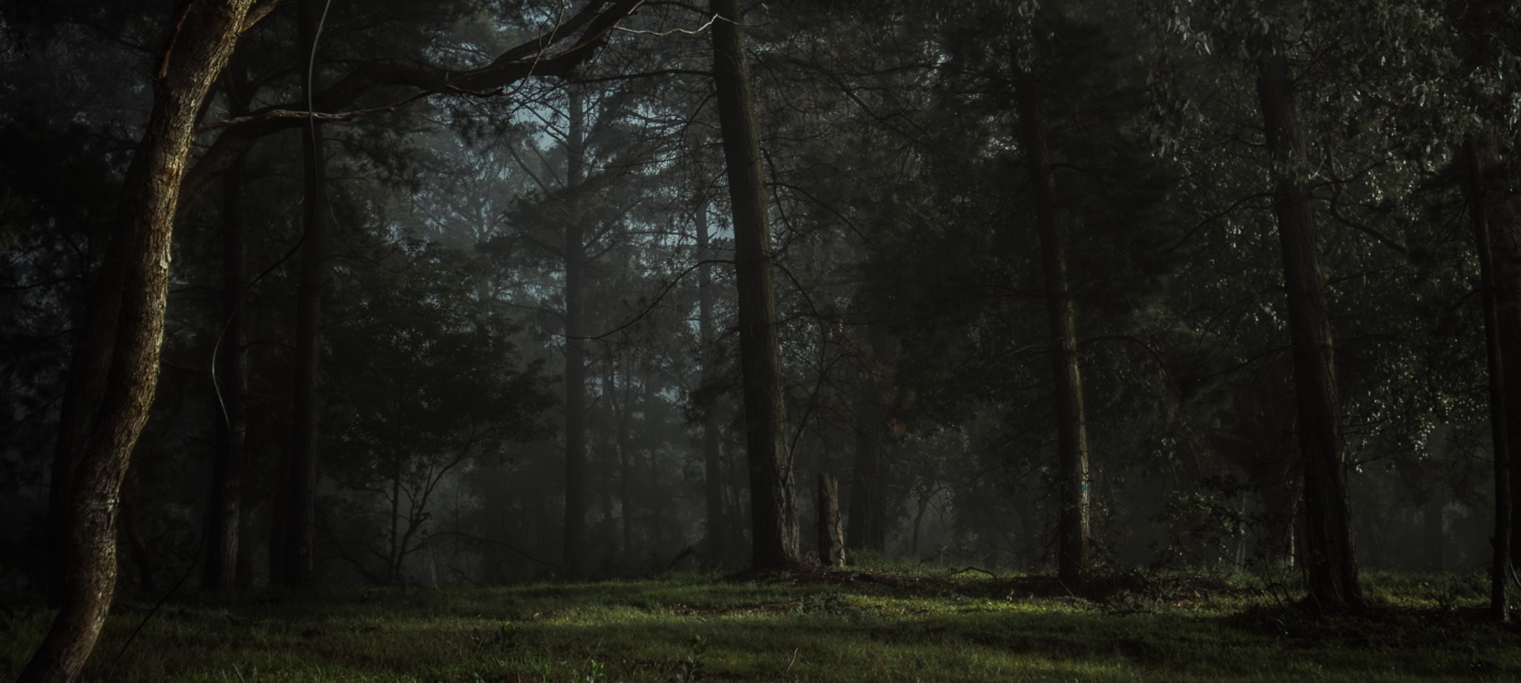 Australian Photography Awards Angel Borg
